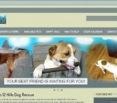 <a href="http://12HillsDogRescue.org/index.php" target="new" style="color:#FFF; font-weight:bold;">Click to visit the site</a>
