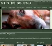 <a href="http://abetterlifedogrescue.co.uk" target="new" style="color:#FFF; font-weight:bold;">Click to visit the site</a>