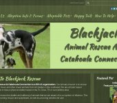 <a href="http://blackjackrescue.org/" target="new" style="color:#FFF; font-weight:bold;">Click to visit the site</a>