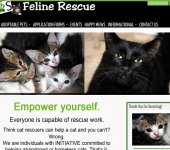 <a href="http://sosfelinerescue.org" target="new" style="color:#FFF; font-weight:bold;">Click to visit the site</a>