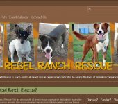 <a href="http://rebelranchrescue.org/" target="new" style="color:#FFF; font-weight:bold;">Click to visit the site</a>