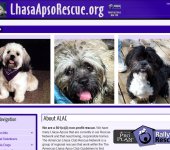 <a href="http://lhasaapsorescue.org" target="new" style="color:#FFF; font-weight:bold;">Click to visit the site</a>