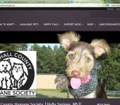 <a href="http://marshallcountyhumanesociety.org/" target="new" style="color:#FFF; font-weight:bold;">Click to visit the site</a>